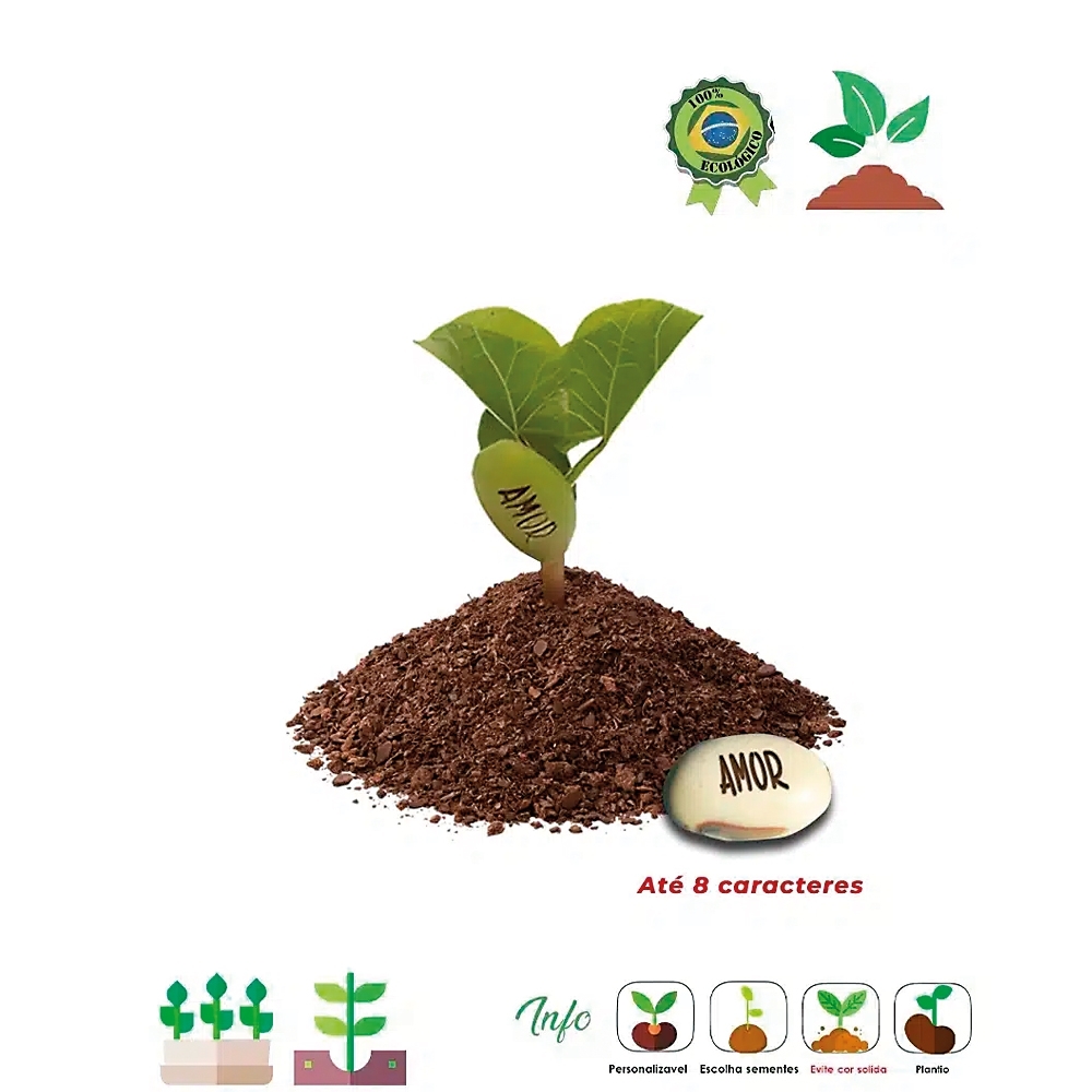 Kit Ecobox Semente Mágica  05 523