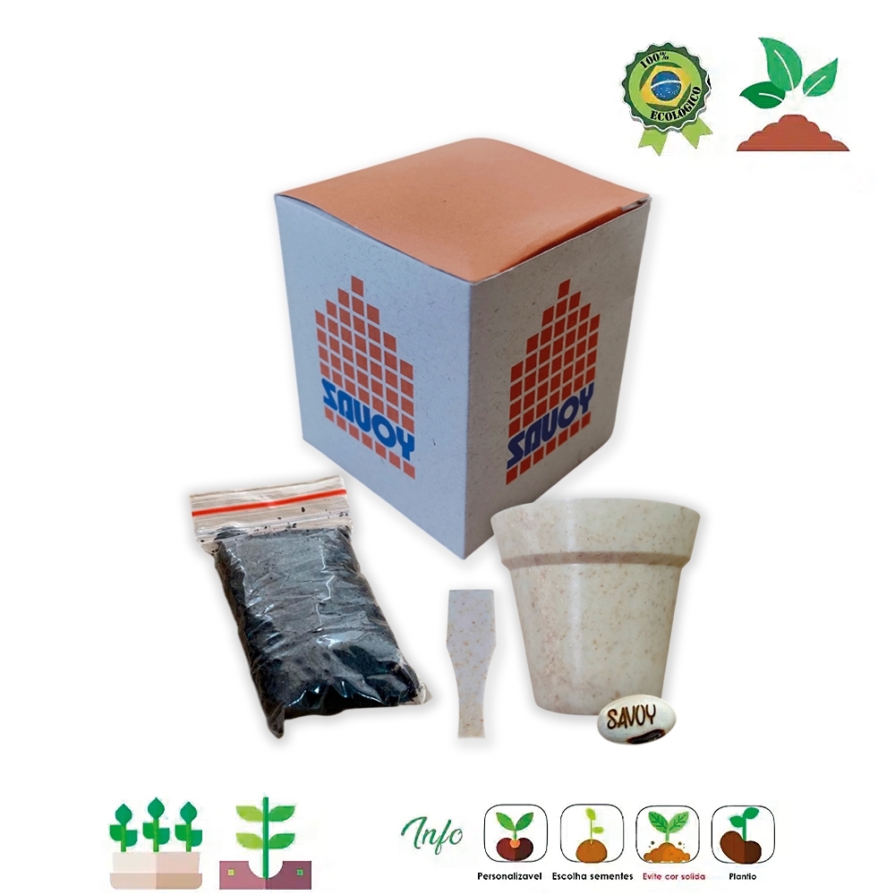 Kit Ecobox Semente Mágica  05 523