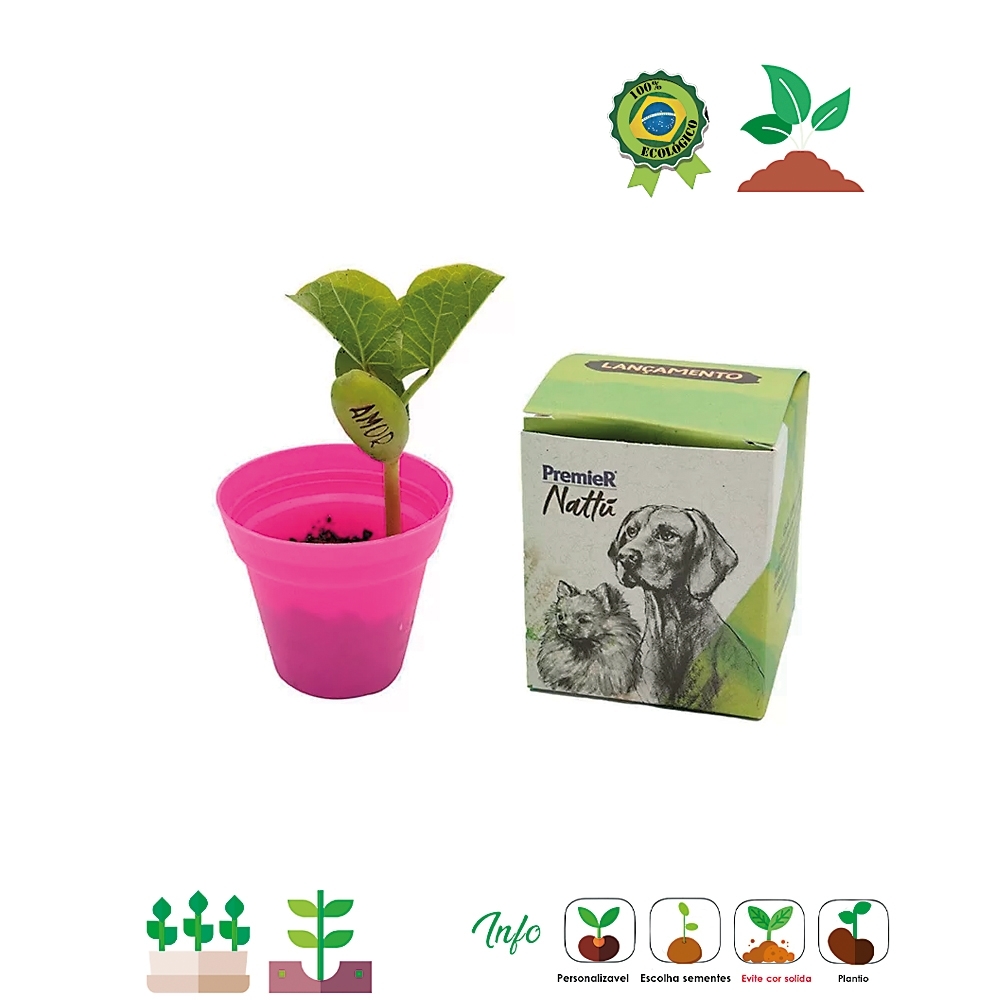 Kit Ecobox Semente Mágica  05 523