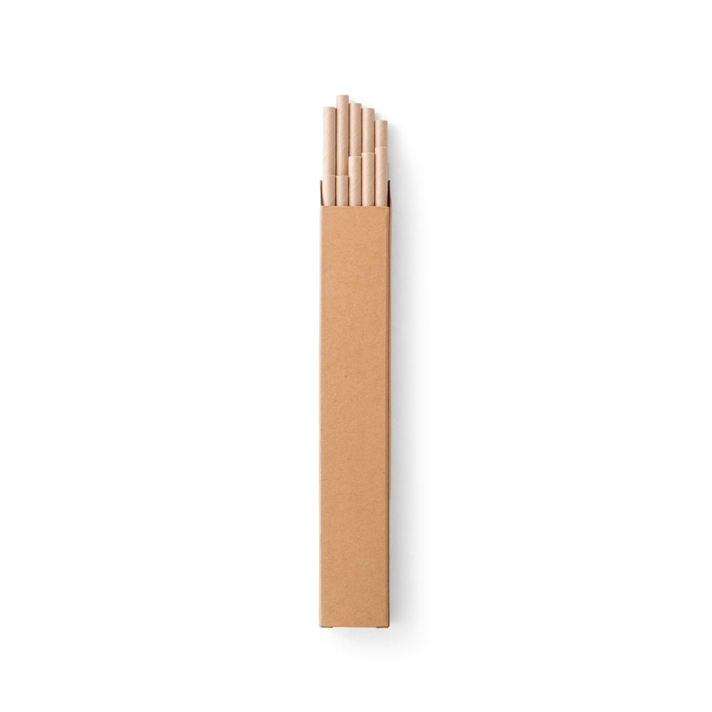 Conjunto de 10 Canudos em Papel Kraft
